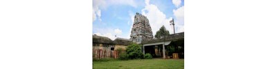 திருக்கொலிலி - ஆவணி விதங்கர் - பிருங்க நடனம்